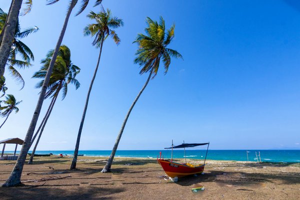 Où trouver des cours de cuisine vietnamienne authentiques à Hanoï?