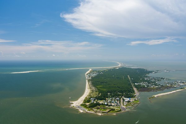 Quelles sont les meilleures croisières pour observer les dauphins en mer Adriatique?